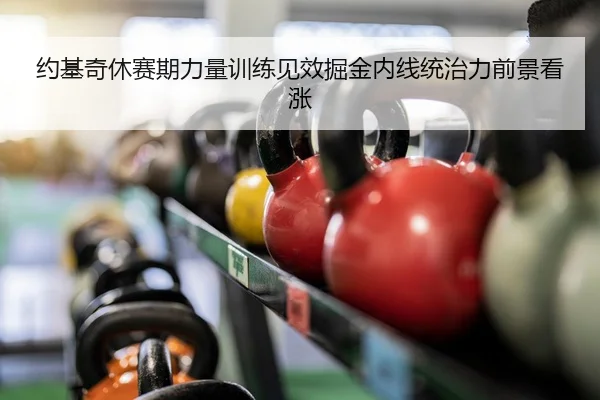 约基奇休赛期力量训练见效掘金内线统治力前景看涨